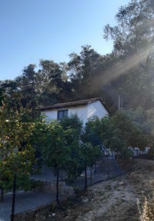 White Manolia Cottage Като-Коракиана Экстерьер фото